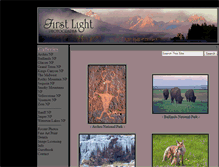 Tablet Screenshot of firstlightphotographs.com